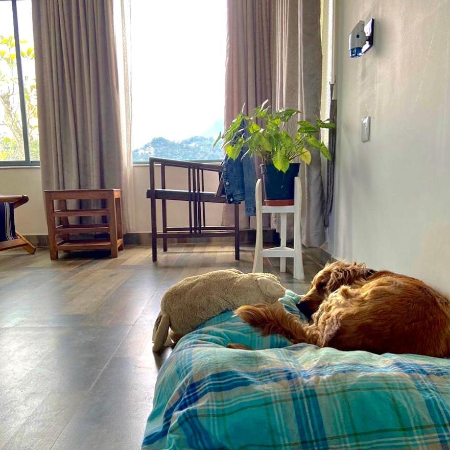 Mannoor Farms Mountain View Stays, مونار المظهر الخارجي الصورة