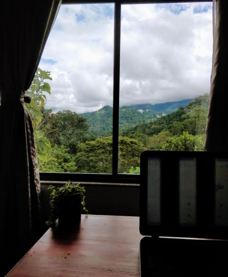 Mannoor Farms Mountain View Stays, مونار المظهر الخارجي الصورة